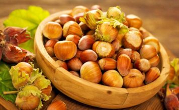 Stina e lajthive, 4 arsye të rëndësishme përse duhet t’i konsumoni rregullisht