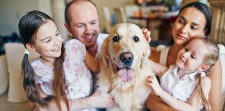 Revista Science për qentë: Jo vetëm miku më i mirë, por edhe më i vjetri