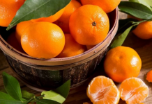 Shtatë përfitime për organizmin, vlerat e jashtëzakonshme të një portokalli në ditë