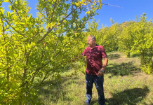 Histori suksesi/ Ahmeti, kultivuesi i shegëve në kufi me Malin e Zi (VIDEO)