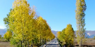 FOTOT/ Perla e natyrës, vjeshta ngjyros me “argjend” Tushemishtin