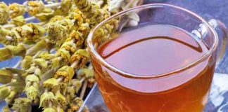 Vlerat e jashtëzakonshme/ Pse çaji i maleve të Shqipërisë është pija numër 1 gjatë dimrit