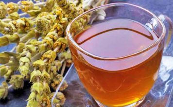 Vlerat e jashtëzakonshme/ Pse çaji i maleve të Shqipërisë është pija numër 1 gjatë dimrit