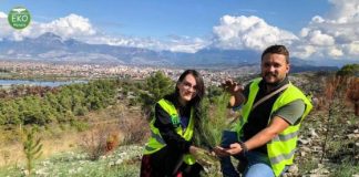 FOTO/ Në Ballkonin e Bunës deri më sot janë mbjellë 10.472 pisha