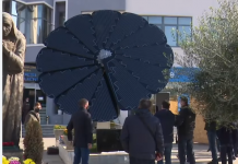 VIDEO/ “Lulja” e parë në Shqipëri që prodhon energji nga dielli vendoset në Shkodër