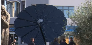 VIDEO/ “Lulja” e parë në Shqipëri që prodhon energji nga dielli vendoset në Shkodër