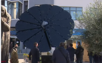 VIDEO/ “Lulja” e parë në Shqipëri që prodhon energji nga dielli vendoset në Shkodër