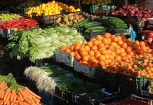 Perimet e Fierit dhe Lushnjes, rekord eksportesh në vendet e BE gjatë nëntorit