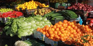 Perimet e Fierit dhe Lushnjes, rekord eksportesh në vendet e BE gjatë nëntorit