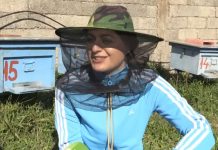 Desilda, gazetarja që ka pasion bletët. Ndjek traditën e familjes për prodhimin e mjaltit