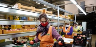 Shqipëria eksporton produkte bujqësore në 22 vende, rekord këtë 9 mujor