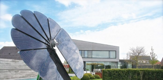 Lulja e parë që prodhon energji nga dielli do të vendoset në Shkodër