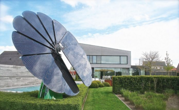 Lulja e parë që prodhon energji nga dielli do të vendoset në Shkodër