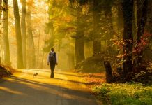 Mjaftojnë 20 minuta ecje në natyre, ja efektet e jashtëzakonshme në trurin e njeriut