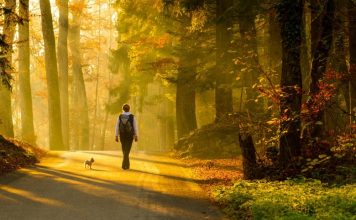 Mjaftojnë 20 minuta ecje në natyre, ja efektet e jashtëzakonshme në trurin e njeriut