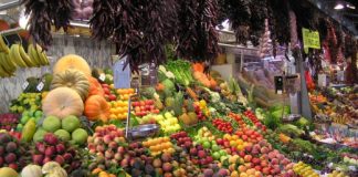 Frutat dhe perimet që duhet të konsumoni në nëntor