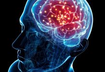 Ky zakon i përditshëm përmirëson funksionimin e trurit