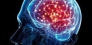 Ky zakon i përditshëm përmirëson funksionimin e trurit