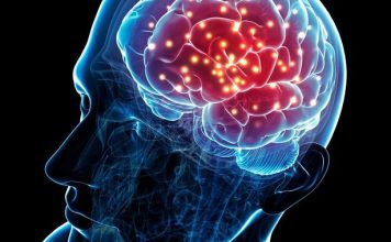 Ky zakon i përditshëm përmirëson funksionimin e trurit