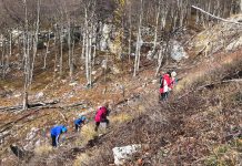 FOTO/ Aksion për pyllëzimin e malit të Dajtit, hidhet 50 kg farë ahu