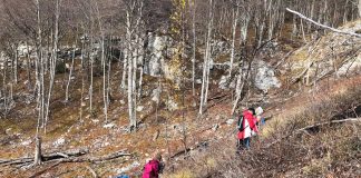 FOTO/ Aksion për pyllëzimin e malit të Dajtit, hidhet 50 kg farë ahu