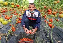 FOTOT/ Altini, fermeri duarartë që prodhon dhjetëra ton produkte bujqësore