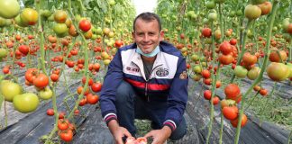 FOTOT/ Altini, fermeri duarartë që prodhon dhjetëra ton produkte bujqësore