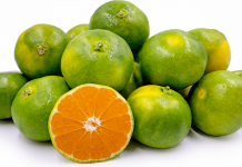 Vlerat e jashtëzakonshme të mandarinave të gjelbra shqiptare