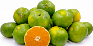 Si mandarinat shqiptare kanë çarë tregjet evropiane, ndër më të preferuarat