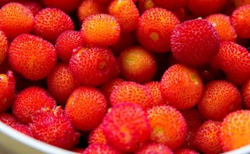 Mjalti i rrallë i maresë që gjendet në Shqipëri, vlerat mjekësore dhe antioksidantët