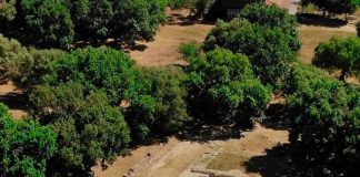 “Apolonia e Ilirisë”, aplikacioni mundëson vizitë virtuale në një prej qyteteve më të famshme të botës antike