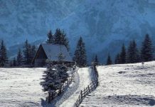 Bjeshkët e Namuna dhe malet e Sharrit në destinacionet e rekomanduara për evropianët