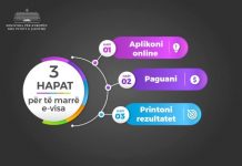 E-visa/ Tashmë aplikimet për vizë për të huajt online