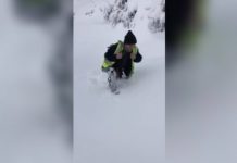 Heroi i ditës/ Xhemili, elektriçisti çan dëborën deri në brez për t’u rikthyer energjinë elektrike banorëve