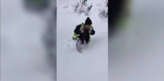 Heroi i ditës/ Xhemili, elektriçisti çan dëborën deri në brez për t’u rikthyer energjinë elektrike banorëve