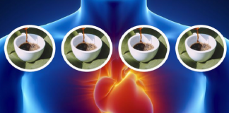 E thotë shkenca! Sa filxhanë kafe në ditë janë mirë për shëndetin tuaj