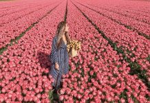 A e dini se cili është qyteti me stilin më të shëndetshëm të jetesës