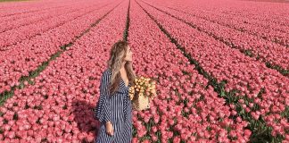 A e dini se cili është qyteti me stilin më të shëndetshëm të jetesës