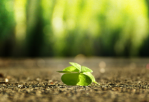 10 mendime pozitive që do t’ju ndihmojnë të gjeni motivimin gjatë ditës