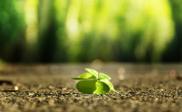 10 mendime pozitive që do t’ju ndihmojnë të gjeni motivimin gjatë ditës