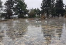 FOTO/ Rehabilitohet parku “Mbretëresha Geraldinë”, një nga më të vjetrit në Ballkan