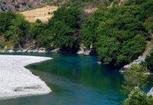 Alpet dhe Lugina e Vjosës shpallen Zona të Mbrojtura