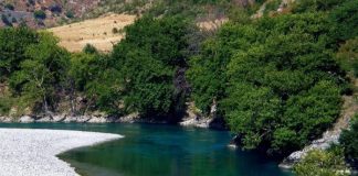 Alpet dhe Lugina e Vjosës shpallen Zona të Mbrojtura
