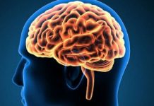 Studimi: Si truri riciklon neuronet për të lexuar