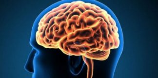 Studimi: Si truri riciklon neuronet për të lexuar