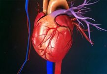 Përbërësi që mbron shëndetin e zemrës. Ja ushqimet ku gjendet