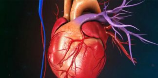 Përbërësi që mbron shëndetin e zemrës. Ja ushqimet ku gjendet