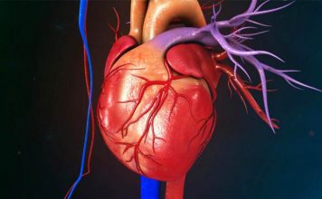 Përbërësi që mbron shëndetin e zemrës. Ja ushqimet ku gjendet