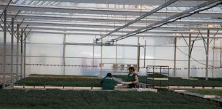 Profil/ Fermeri 29 vjeçar në Fier, modeli i suksesit për të rinjtë