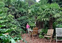 FOTOT/ Babai që e shndërroi kopshtin e tij në një “xhungël” urbane në mes të Britanisë